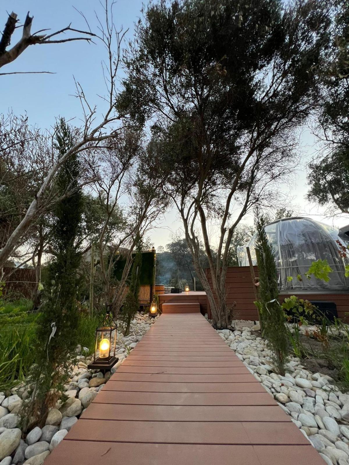 The Vino Dome By Once Upon A Dome Franschhoek Eksteriør bilde