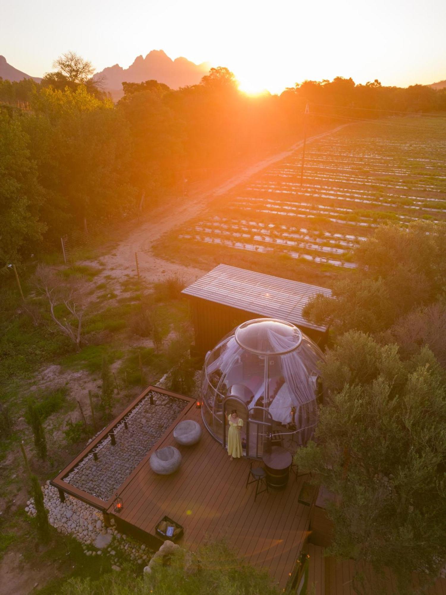 The Vino Dome By Once Upon A Dome Franschhoek Eksteriør bilde